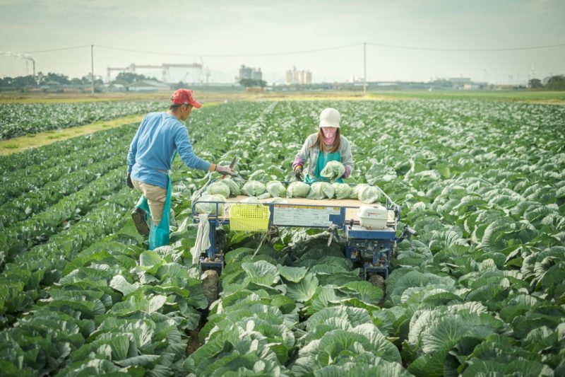 ローカルボイスイメージ